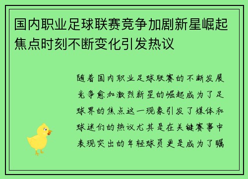 国内职业足球联赛竞争加剧新星崛起焦点时刻不断变化引发热议