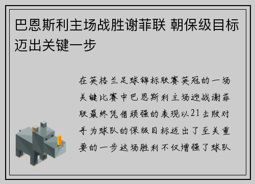 巴恩斯利主场战胜谢菲联 朝保级目标迈出关键一步